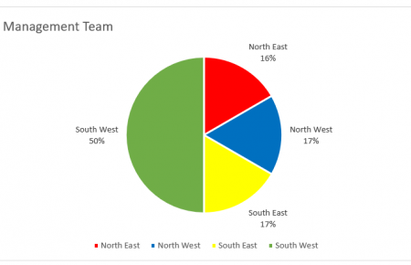 Pie chart of Client A values profile