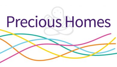 Precious Homes logo